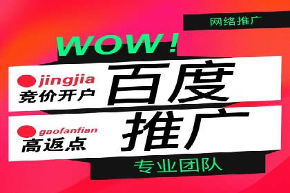 实战案例分析：如何通过竞价推广公司提升转化率